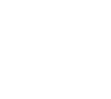 Biały logotyp Wild Willy